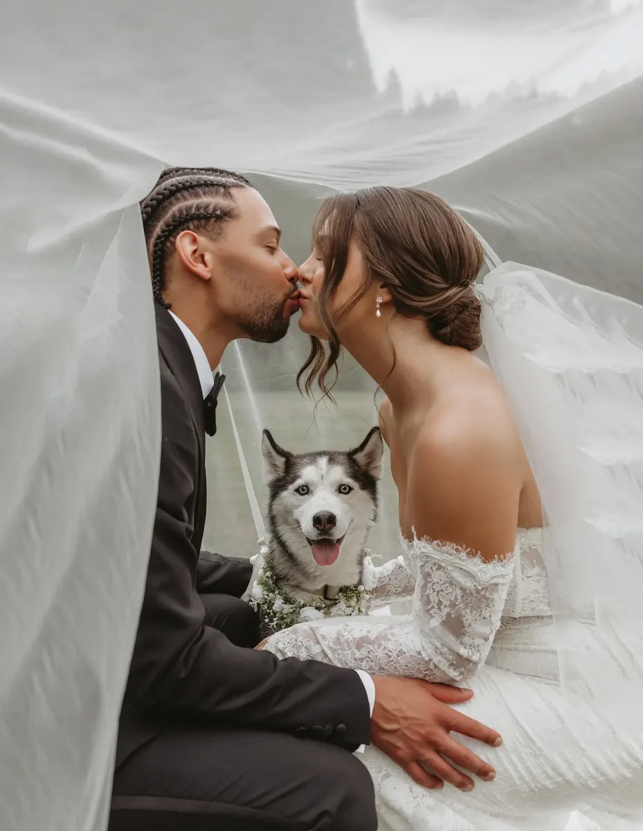 Couple kissing under the veil with their husky sitting between them
